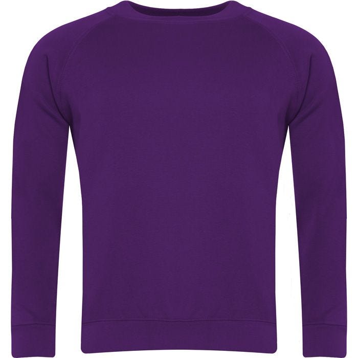 Select Raglan Sweatshirt 3SR